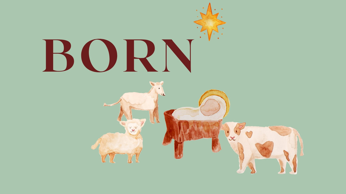 4 BORN 4 visual data 7
