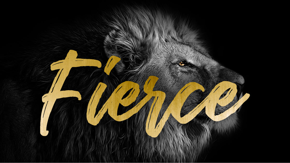 Fierce: 8-Week Summer Series