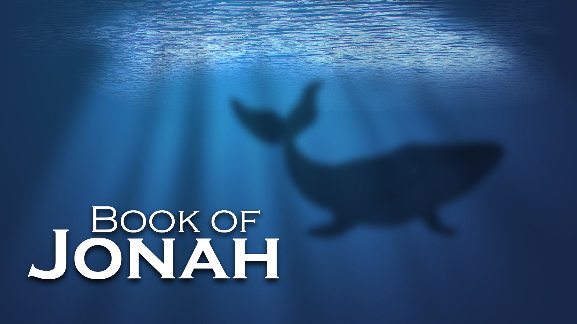 Book Of Jonah Book Of Jonah