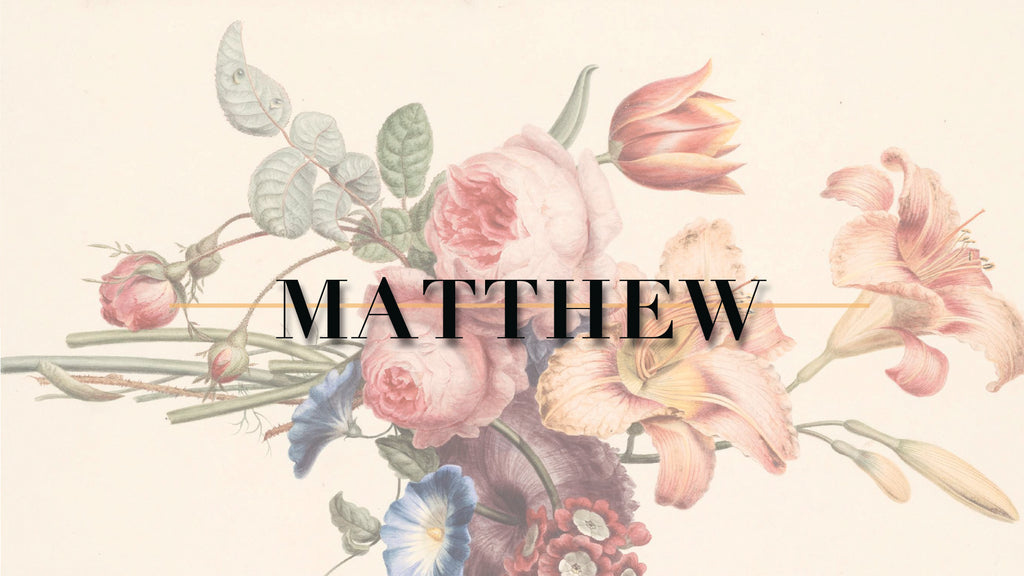 Matthew: 4-Week Bible Study