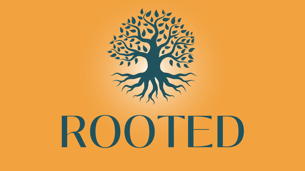 youth group lesson about being rooted in christ