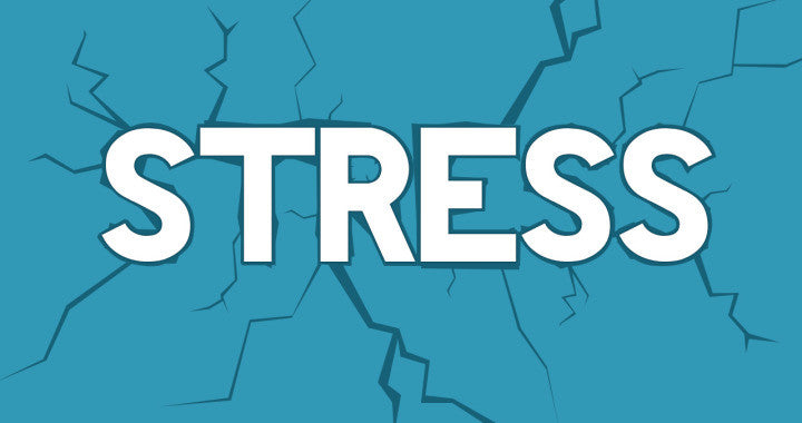 Youth Group Lessons on Stress – Ministry to Youth